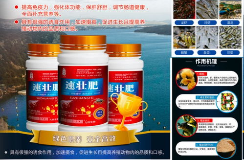 華佗醫藥水產促生長解決方案 助力海參、蝦蟹與魚類高效養殖